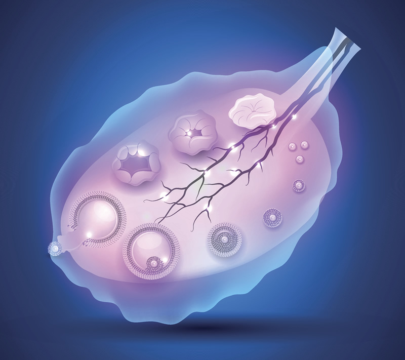 2026年去上海市第六助孕医院做三代试管的费用贵吗？